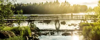 Mies seisoo puusillalla ja katsoo vesistöä