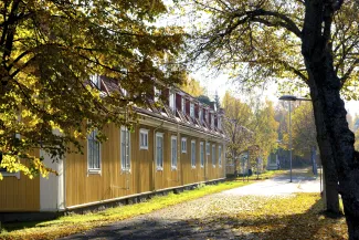 vanha keltainen rakennus syysväreissä