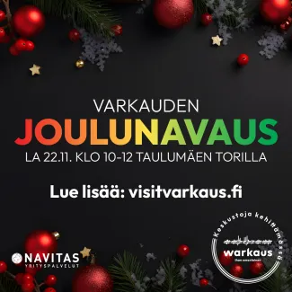 Varkauden Joulunavaus