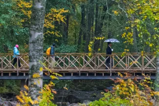 Ihmisiä kulkemassa sillalla, etualalla mies puku päällä ja sateenvarjo kädessään, takana retkeilevät mies ja nainen