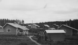 Aallon tyyppitaloja, mustavalkokuva