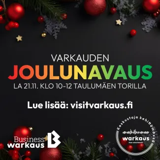Varkauden Joulunavaus